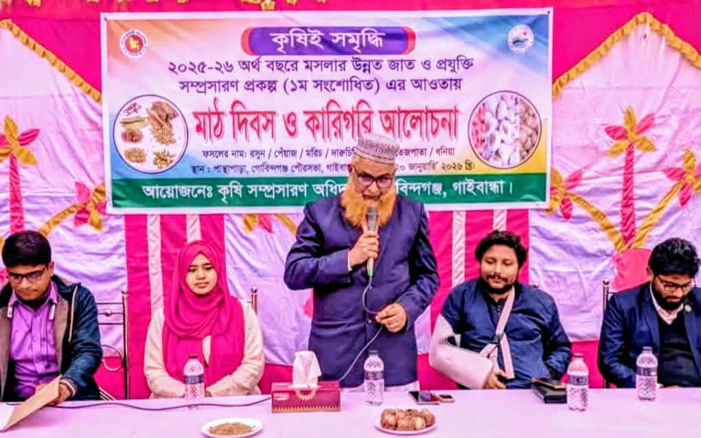 গোবিন্দগঞ্জে মসলার উন্নত জাত ও প্রযুক্তি সম্প্রসারণ প্রকল্পের মাঠ দিবস