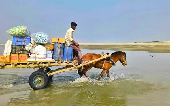 গাইবান্ধার চরাঞ্চলে চলাচলের বাহন ঘোড়ার গাড়ি