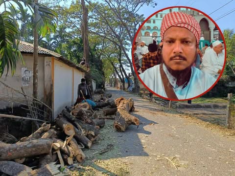 গাছ কাটা ও দুর্নীতি ফাঁসের জেরে ‘পাল্টা’ মানববন্ধন? আদালতে কলিম উল্লাহর বিরুদ্ধে মামলা দায়ের