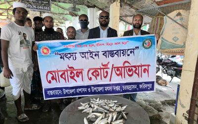 চরভদ্রাসন বাজার-এ জাটকা বিরোধী অভিযান, ১০ কেজি জাটকা জব্দ