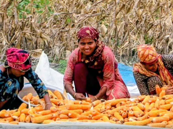 মজুরী কম হলেও শ্রমজীবী নারীদের মুখে হাসি