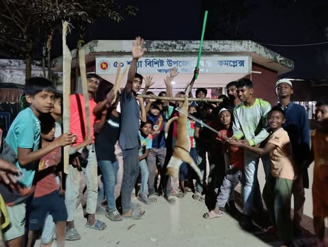তাড়াইলে বেওয়ারিশ কুকুরের তাণ্ডব: একদিনে ১৭ জন আহত