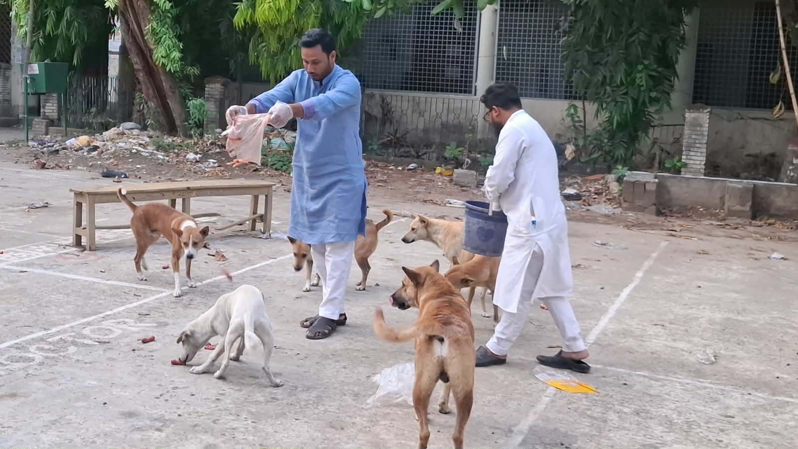 বন্ধ ক্যাম্পাসে ক্ষুধার্ত প্রাণীদের পাশে জবি ছাত্রদল নেতা শাহরিয়ার
