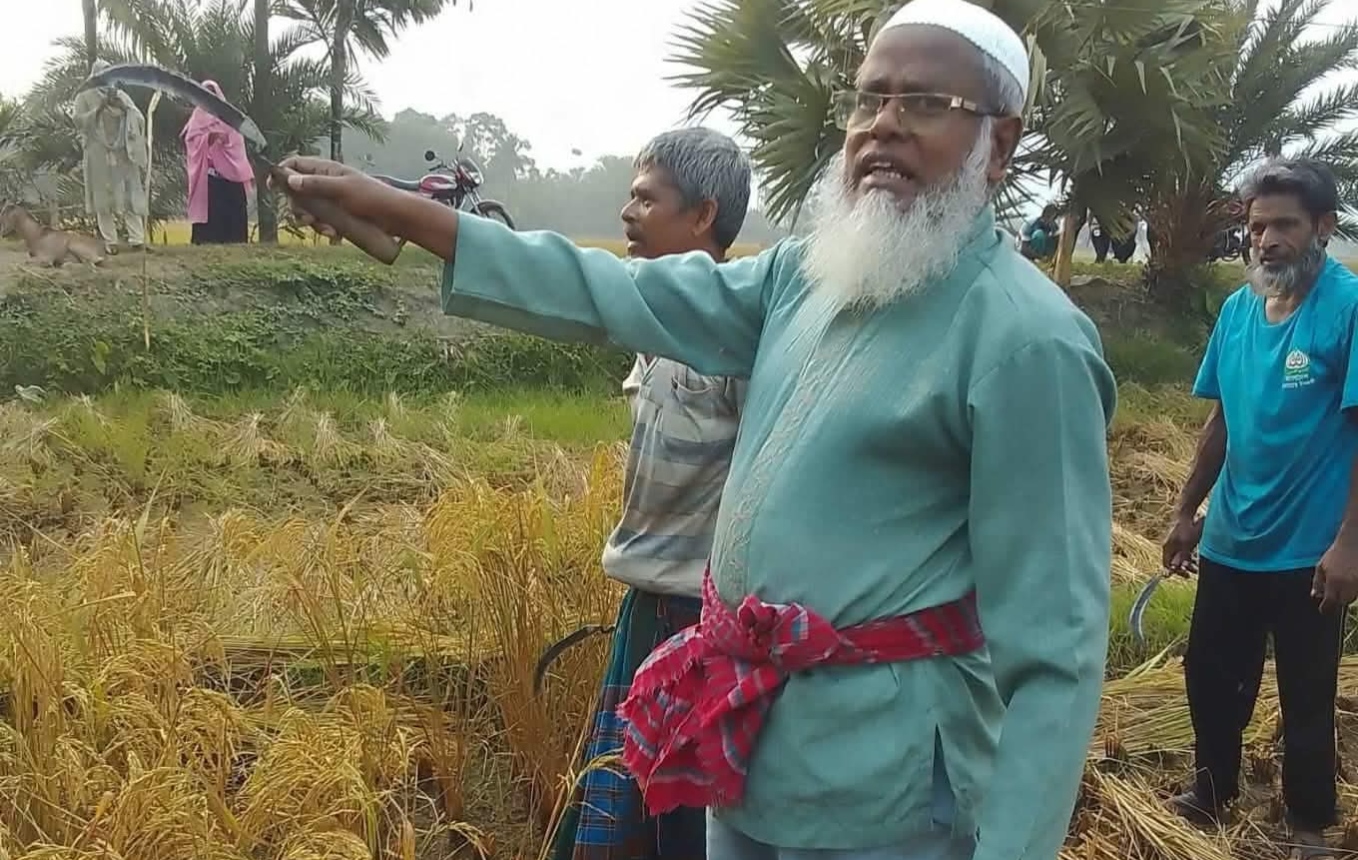 মণিরামপুরে হতদরিদ্র কৃষকের পাশে এমপি গাজী এনামুল হক, স্বেচ্ছাশ্রমে ধান কাটার কর্মসূচির উদ্বোধন