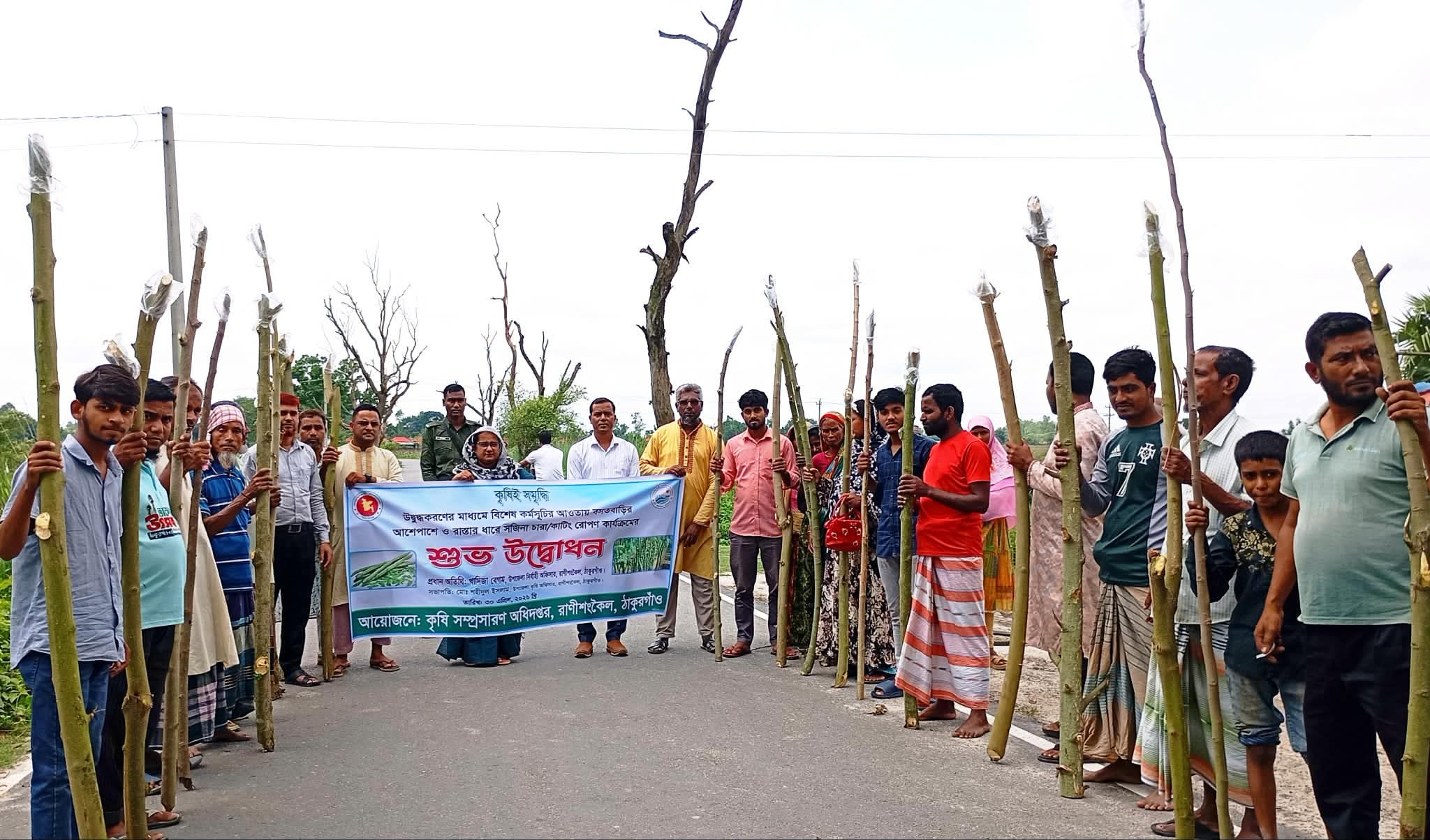 রাণীশংকৈলে সজিনা চাষ সম্প্রসারণে রোপণ কার্যক্রমের উদ্বোধন