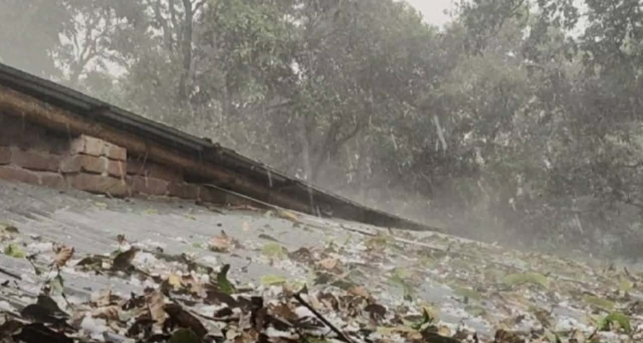 চাঁপাইনবাবগঞ্জে শিলাবৃষ্টিতে আমসহ ফসলের ব্যাপক ক্ষতি