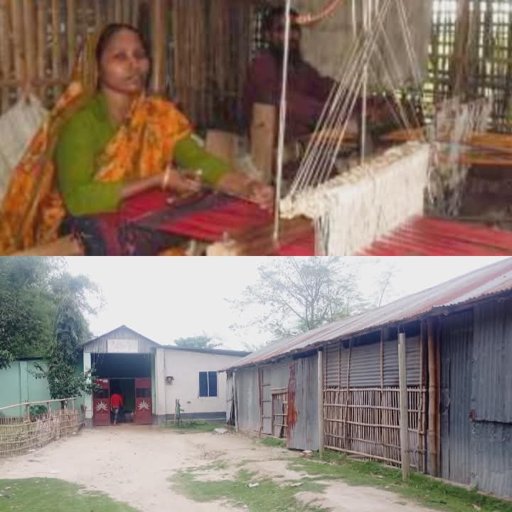 সফলতার শিখর থেকে নিঃস্ব হয়ে নিরুদ্দেশ:রাণীশংকৈলে ফাতেমার স্বপ্নভঙ্গের করুণ আখ্যান