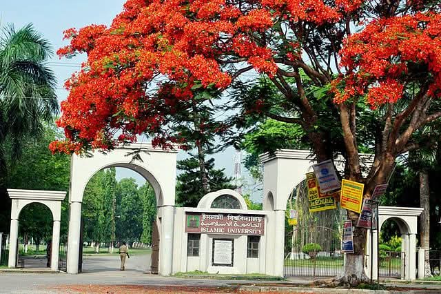 গুচ্ছভুক্ত ‘এ’ ইউনিটের ফলাফল পরিসংখ্যানে গড়মিল বিতর্ক; ব্যাখ্যা দিলো ইসলামী বিশ্ববিদ্যালয়
