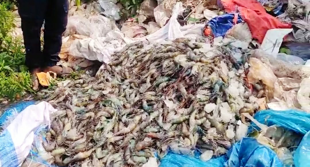 ব্রাহ্মণবাড়িয়ায় ৬০ কেজি জেলিযুক্ত চিংড়ি জব্দ, আগুনে পুড়িয়ে ধ্বংস