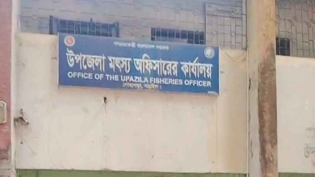 নড়াইলের লোহাগড়ায় প্রকল্প বাস্তবায়নে অনিয়ম তথ্য গোপন অনুদানের ৬০টি গরু গেল কোথায় 