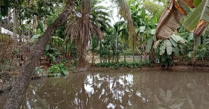 কৈলাটি ইউনিয়নের মধুখালী খাল খনন নিয়ে গ্রামবাসীদের দু’পক্ষের মাঝে মতবিরোধ