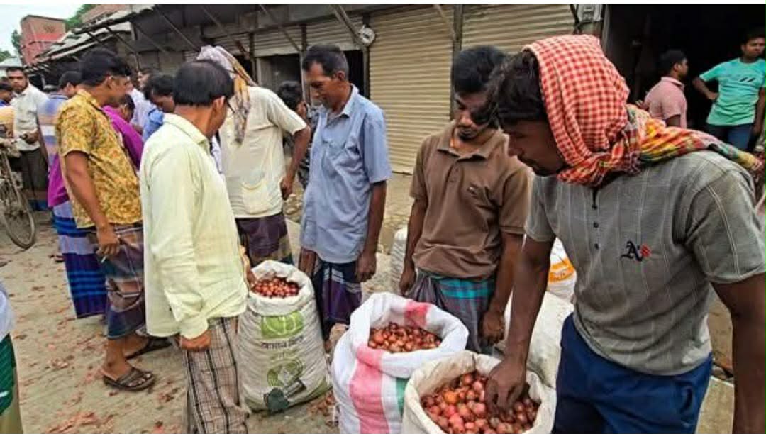 ফরিদপুরে পেঁয়াজের দামে ধস লোকসানে চাষিরা