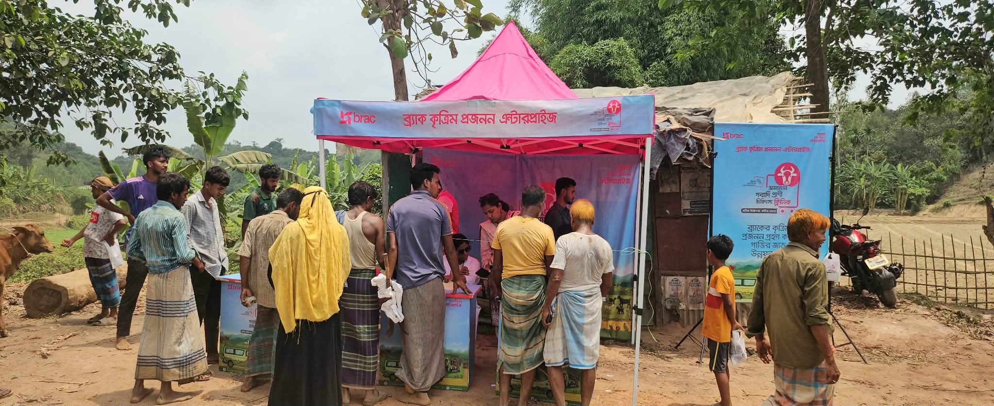 ব্রাক কৃত্রিম প্রজনন এন্টারপ্রাইজ এর আয়োজনে বিনামূল্যে ভ্রাম্যমান গবাদি প্রাণী চিকিৎসা
