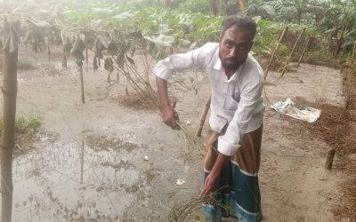 কুলিয়ারচরে রাতের আধারে এক কৃষকের লক্ষ টাকা মূল্যের সবজি বাগান কর্তন, থানায় অভিযোগ