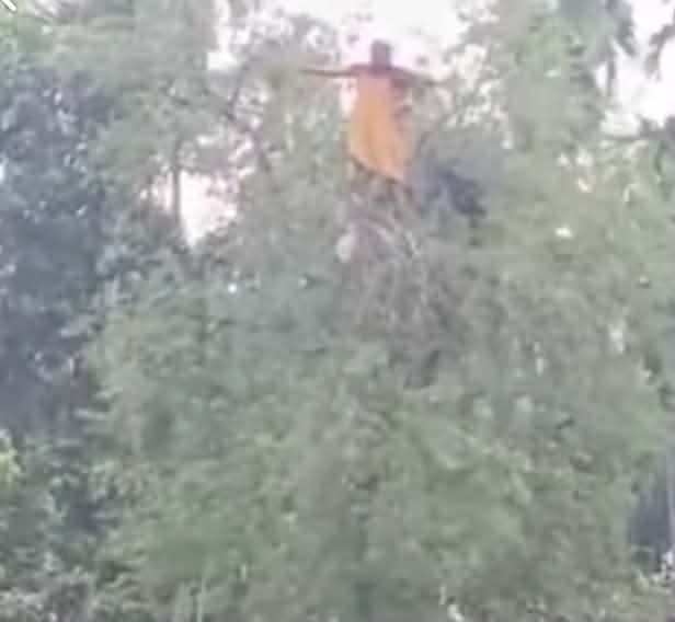 কুড়িগ্রামে নিখোঁজ নারীকে গাছের মগডাল থেকে উদ্ধার এলাকায় চাঞ্চল্য