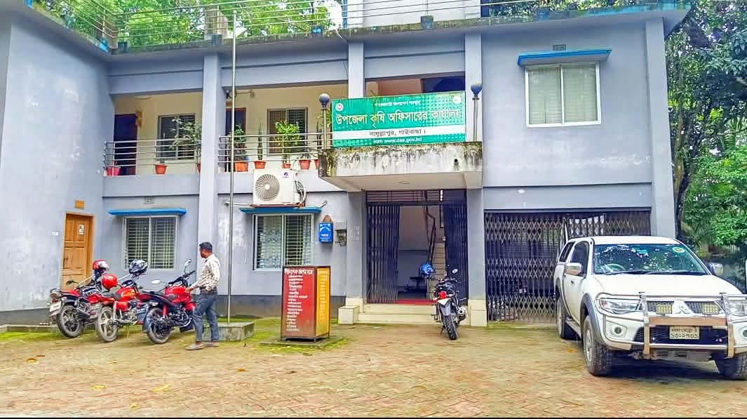 সাদুল্লাপুর কৃষি অফিসের ইতিবাচক ভূমিকা: কৃষকদের মুখে হাসি, ফিরছে স্বস্তি