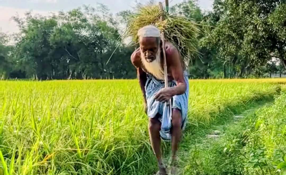 নুয়ে পড়া কাঁধে জীবিকার ভার 