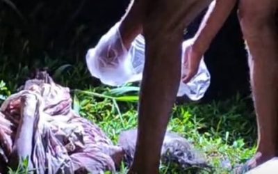 কুমিল্লার হোমনা উপজেলা সদরে গ্রামীণ টাওয়ারের পশ্চিম পাশ থেকে এক অজ্ঞাত নারীর মরদেহ উদ্ধার করেছে পুলিশ