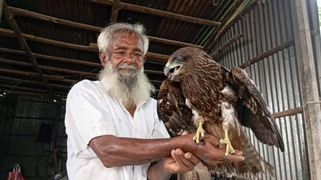 ঈগল পাখি এখন মোতালেবের পরম বন্ধু, রাণীশংকৈলে এক অনন্য ভালোবাসার গল্প