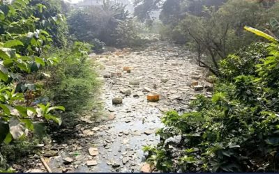 সদরপুরের১০ কিলোমিটার দীর্ঘ পূর্ব শ্যামপুর খালদখলে দূষণে কবলে খালটি পুনরুদ্ধারের দাবি