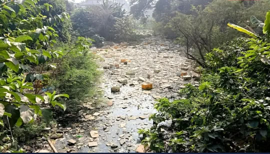 সদরপুরের১০ কিলোমিটার দীর্ঘ পূর্ব শ্যামপুর খালদখলে দূষণে কবলে খালটি পুনরুদ্ধারের দাবি