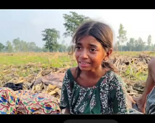 সীমান্তে মানবিক বিপর্যয়: নো-ম্যানস ল্যান্ডে ১১ জনের করুণ দিনযাপন