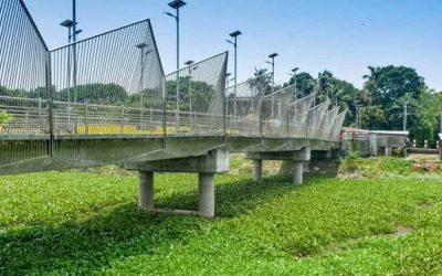 উদ্বোধনেই ইতি : সবুজে ঢাকা ঘাঘট লেক কি শুধু ফটোসেশনেরই অপেক্ষায় ছিল?