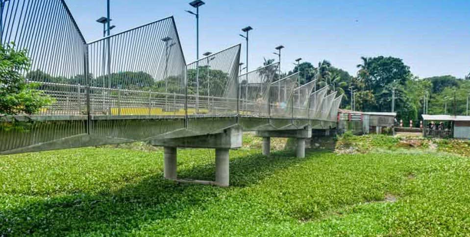 উদ্বোধনেই ইতি : সবুজে ঢাকা ঘাঘট লেক কি শুধু ফটোসেশনেরই অপেক্ষায় ছিল?