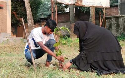 বিশ্ব পরিবেশ দিবসে গাংনীতে সিএফএইচ’র বৃক্ষরোপণ কর্মসূচি, শুরু হলো ‘গ্রিন মেহেরপুর ক্যাম্পেইন ২০২৬’