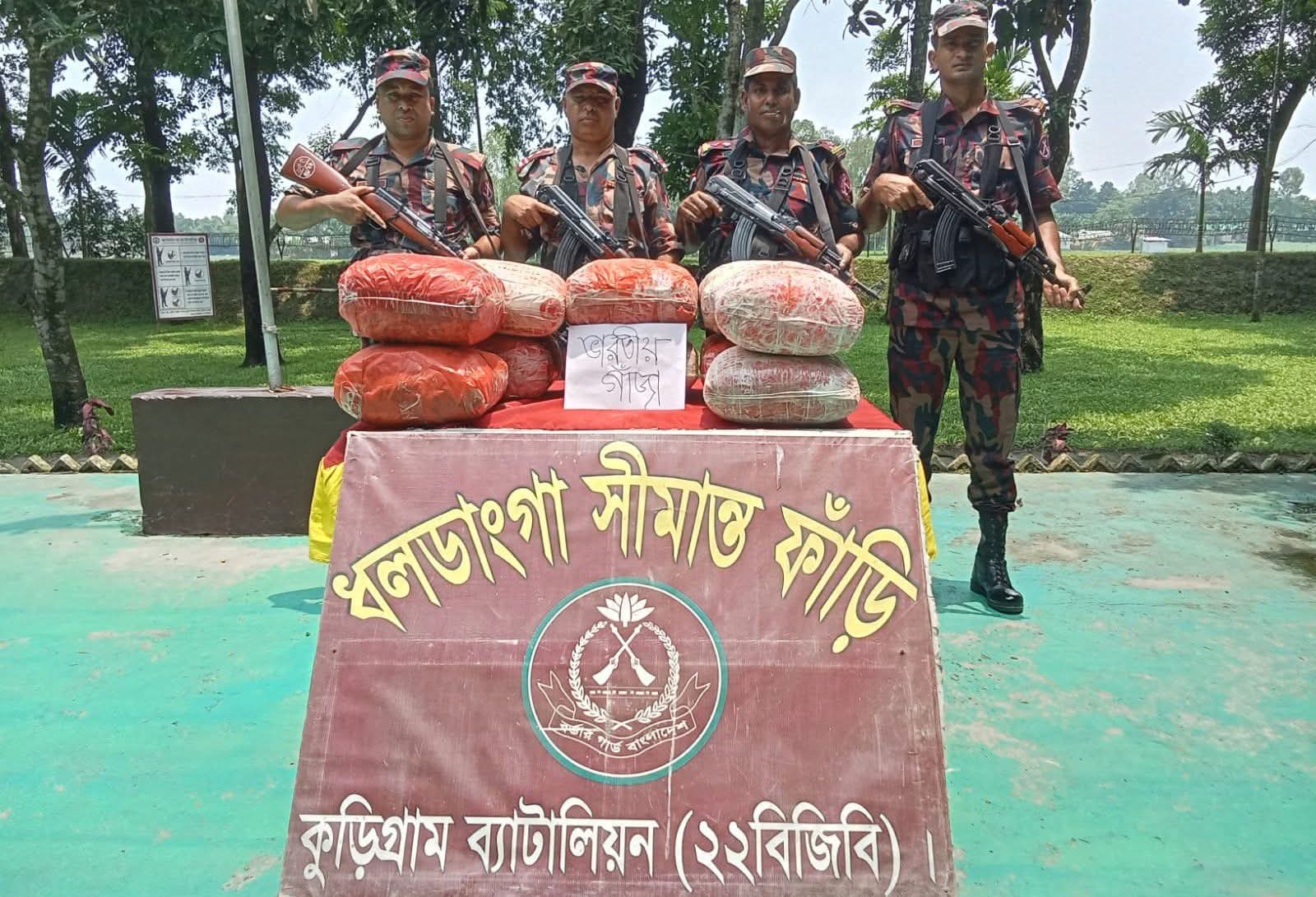 ভূরুঙ্গামারীতে বিজিবির অভিযানে ৫৩ কেজি ভারতীয় গাঁজা জব্দ