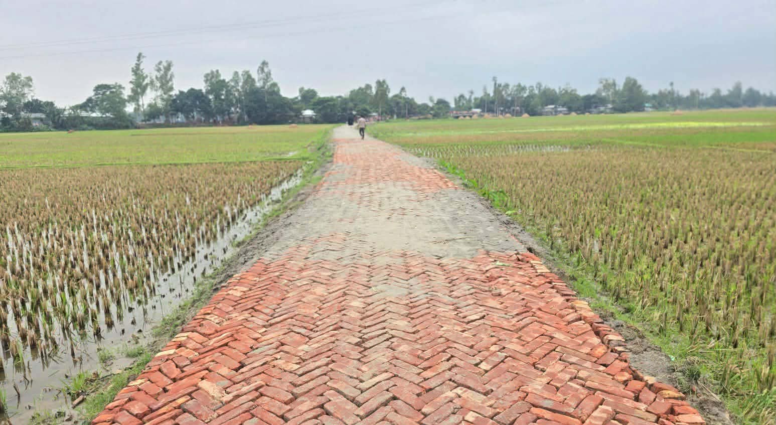 ফুলছড়িতে সড়ক নির্মাণ নিয়ে অপপ্রচার : পিআইও মোতালেবের বিরুদ্ধে অভিযোগ ভিত্তিহীন
