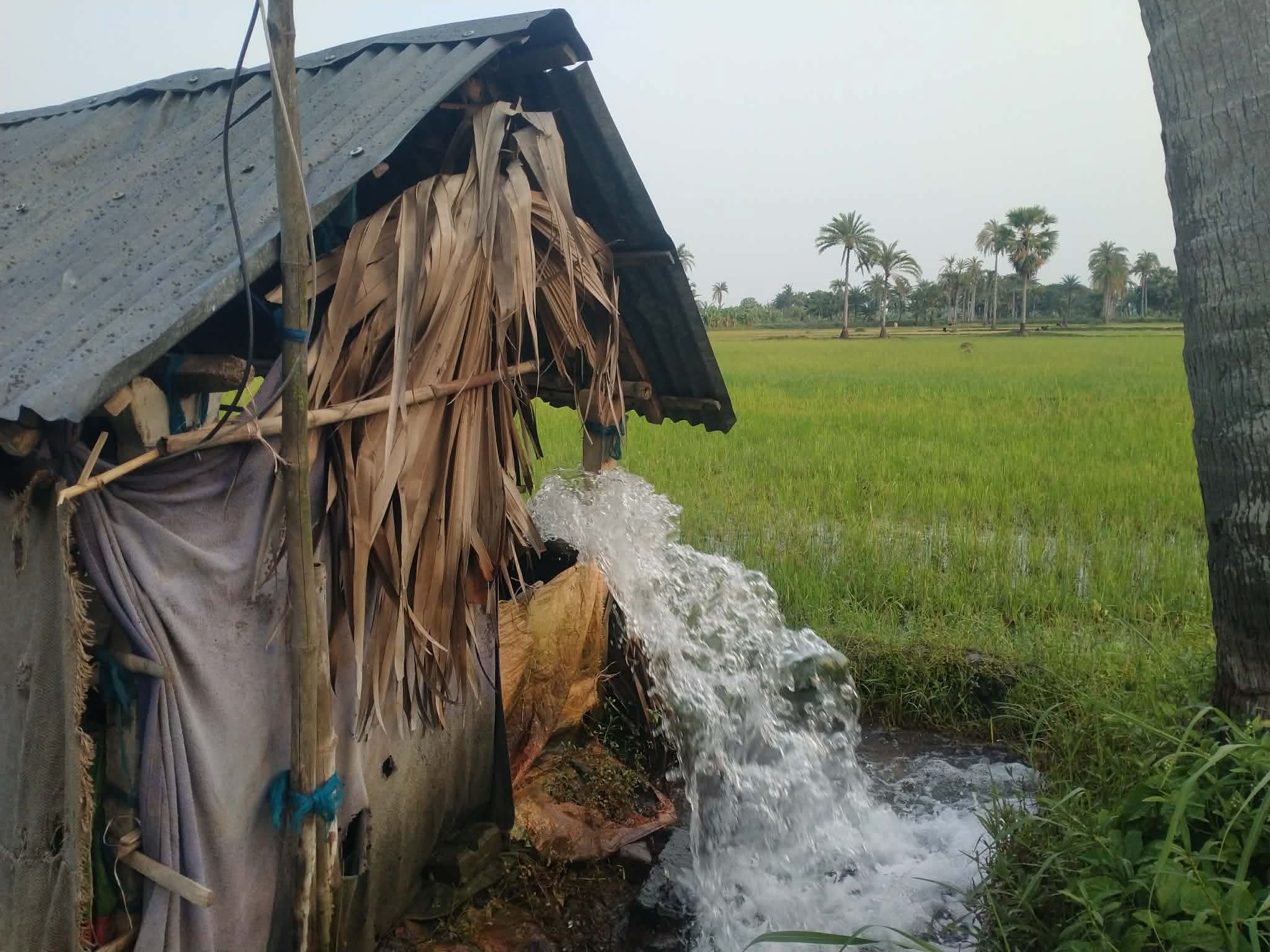 ভবদহ অঞ্চলে গভীর নলকূপের পানি তুলে মাছের ঘের ভরাট, বাড়ছে জলাবদ্ধতার শঙ্কা