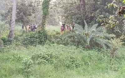 চাঁপাইনবাবগঞ্জ সীমান্তে ২৮ বাংলাদেশিকে ‘পুশ-ইন’ করেছে বিএসএফ
