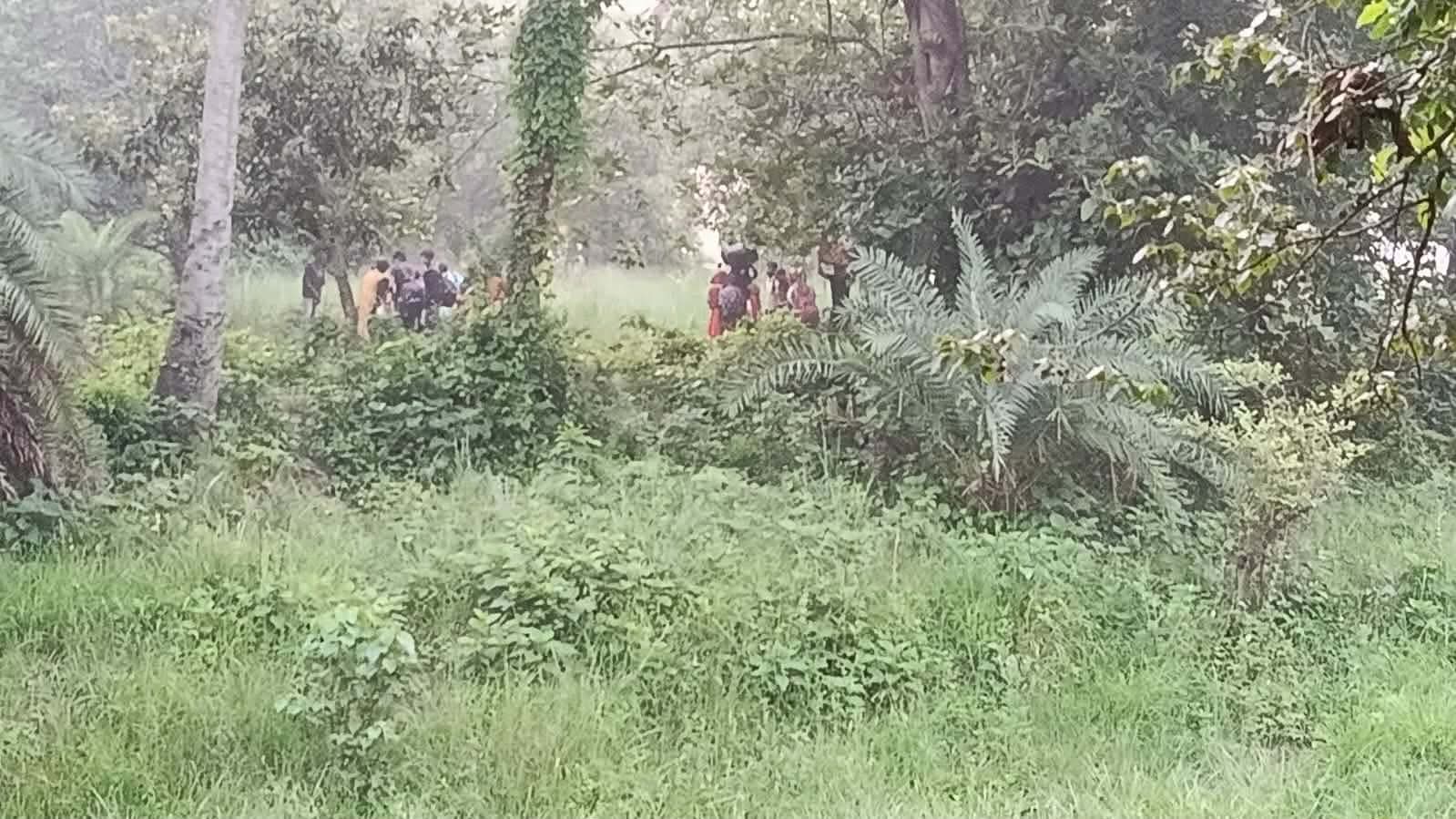 চাঁপাইনবাবগঞ্জ সীমান্তে ২৮ বাংলাদেশিকে ‘পুশ-ইন’ করেছে বিএসএফ