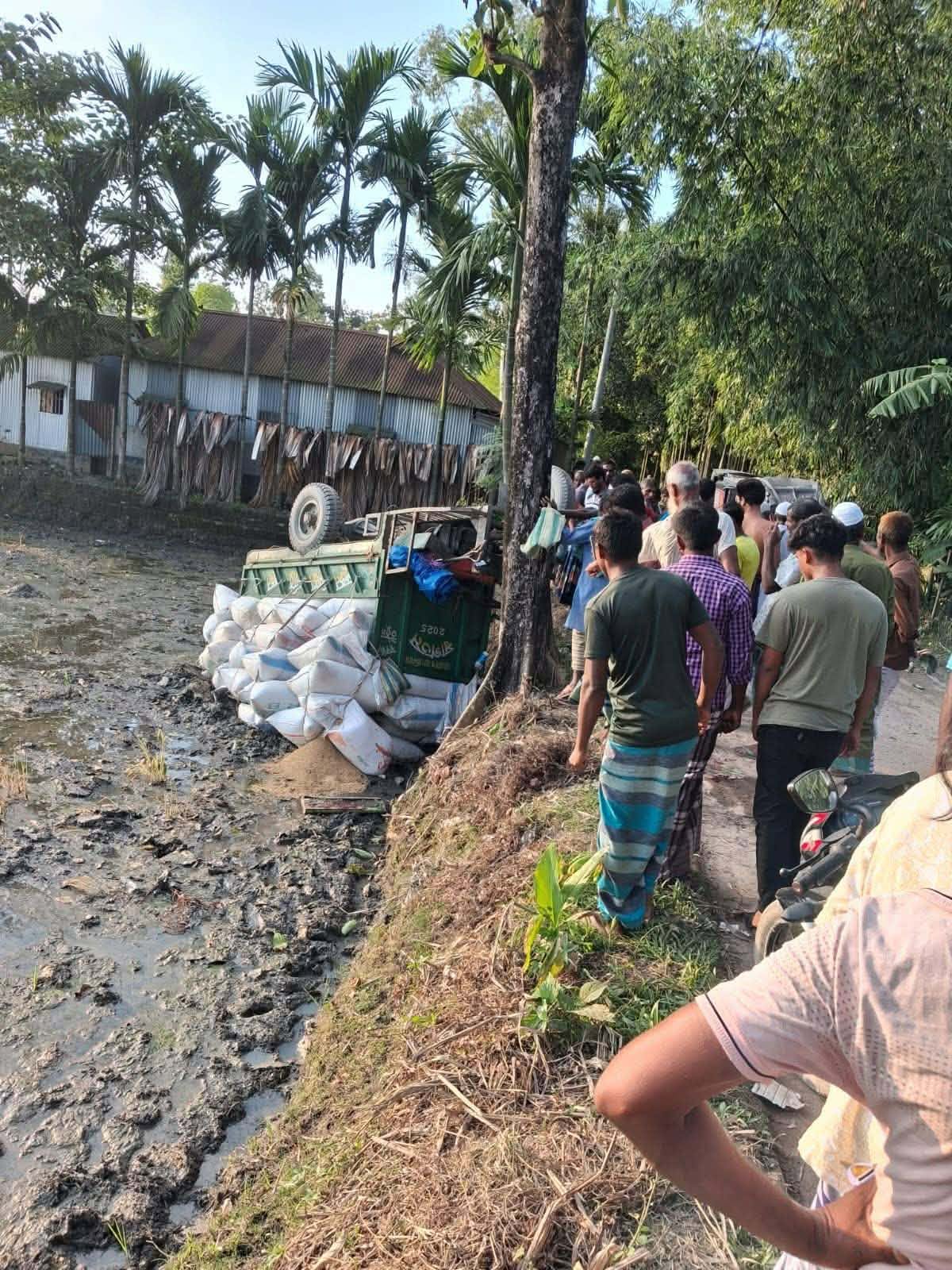 ভূরুঙ্গামারীতে সড়ক দুর্ঘটনায় নসিমন চালক নিহত