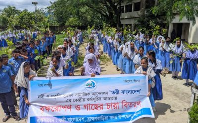 তরী বাংলাদেশের উদ্যোগে ব্রাহ্মণবাড়িয়ায় বৃক্ষরোপণ ও চারা বিতরণ কর্মসূচি