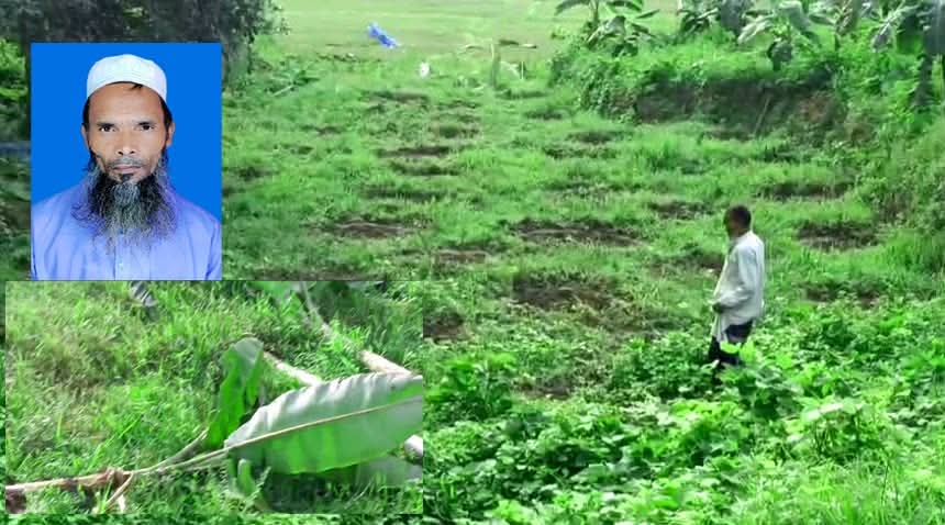 ঋণ নিয়া গড়া বাগান এক রাতেই শেষ, গুইমারায় কৃষকের আড়াই লক্ষ টাকার ক্ষতি