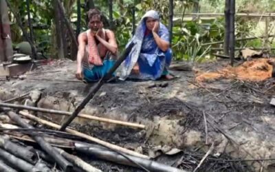 চরভদ্রাসনে অগ্নিকান্ডে ভূস্মি ভূত রান্নাঘরসহ আগুনে  সাতটি ছাগল পুড়ে ছাই