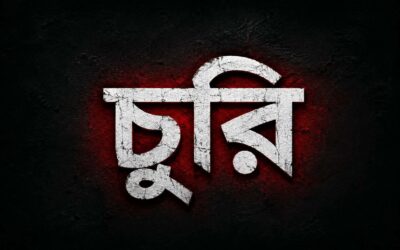 চরভদ্রাসনে বাড়িতে চুরির অভিযোগ, স্বর্ণ ও নগদ টাকা খোয়া যাওয়ার দাবি