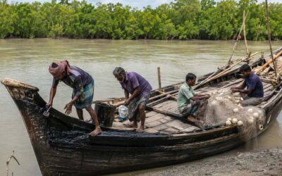 নিষেধাজ্ঞা শেষে আগামী ১ সেপ্টেম্বর খুলছে সুন্দরবন