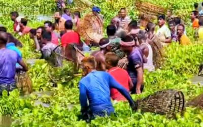বিলুপ্তির স্রোতে টিকে থাকা গাইবান্ধার গ্রামীণ জনপদের পলো বাওত উৎসব