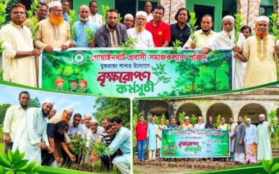গোয়াইনঘাট প্রবাসী সমাজ কল্যাণ পরিষদের সৌজন্যে নন্দিরগাও ইউনিয়নে বৃক্ষরোপণ
