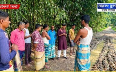 ৩ মাস ধরে যান চলাচল বন্ধ পাইকরাজ-মুন্সিবাজার সড়ক, দুর্ভোগ দেখতে ছুটে