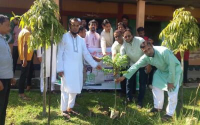 গোয়াইনঘাট প্রবাসী সমাজকল্যাণ পরিষদের উদ্যোগে তোয়াকুল কলেজ ও সড়কের পাশে বৃক্ষরোপণ কর্মসূচি