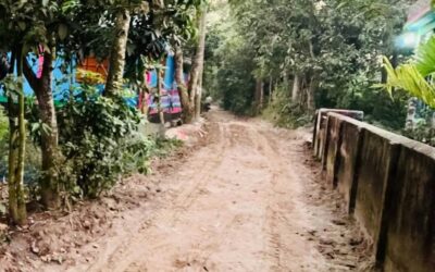 নবীনগরে টিয়ারা-সিনামাছি-ভাতুরিয়া সড়কের কাজ শুরু৷৷