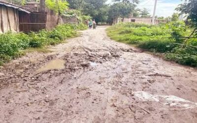 রাণীশংকৈলে উজধারি কাঁচা সড়কে দুর্ভোগ, সামান্য বৃষ্টিতেই হাঁটুপানি সমান কাদা